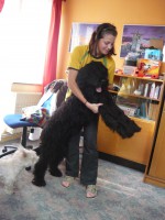 /album/nase-stenatka-vrh-a/arlando-1-jpg/